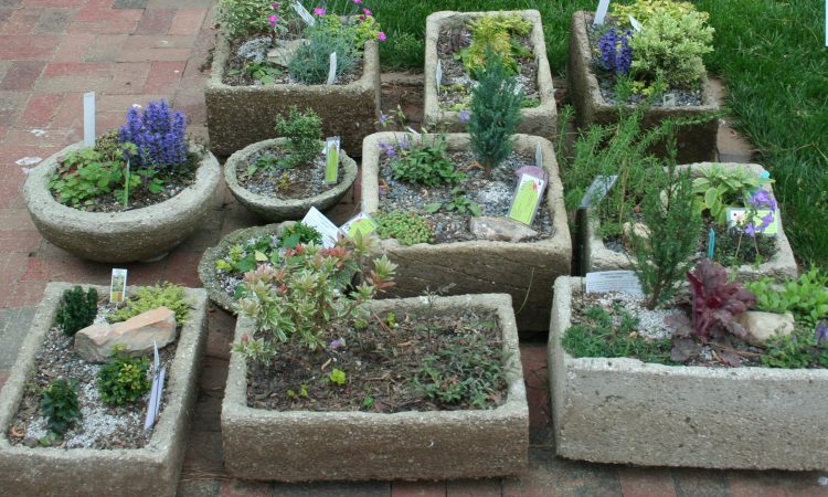 How to plant troughs, Hypertufa, Tufa