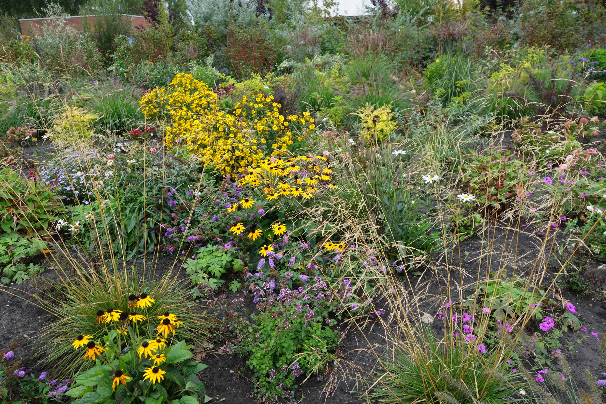 Alpine & Rock Backyard Nurseries