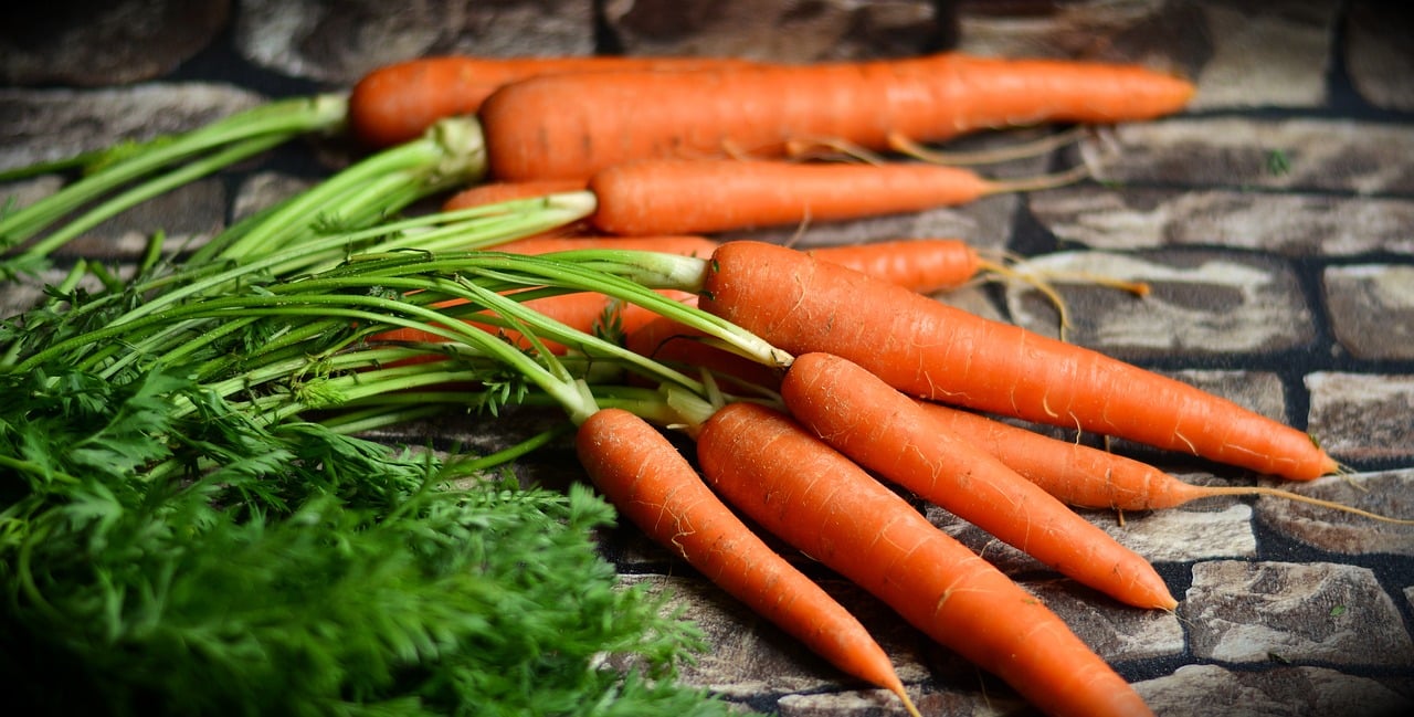 Rising Carrots – Skilled Gardening Suggestions